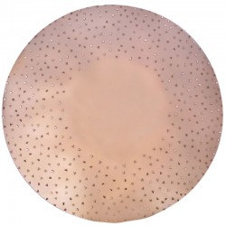 17" Tungsten Disc, Velcro backed, For Latex & Coating Removal